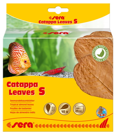 345 sera catappa leaves s